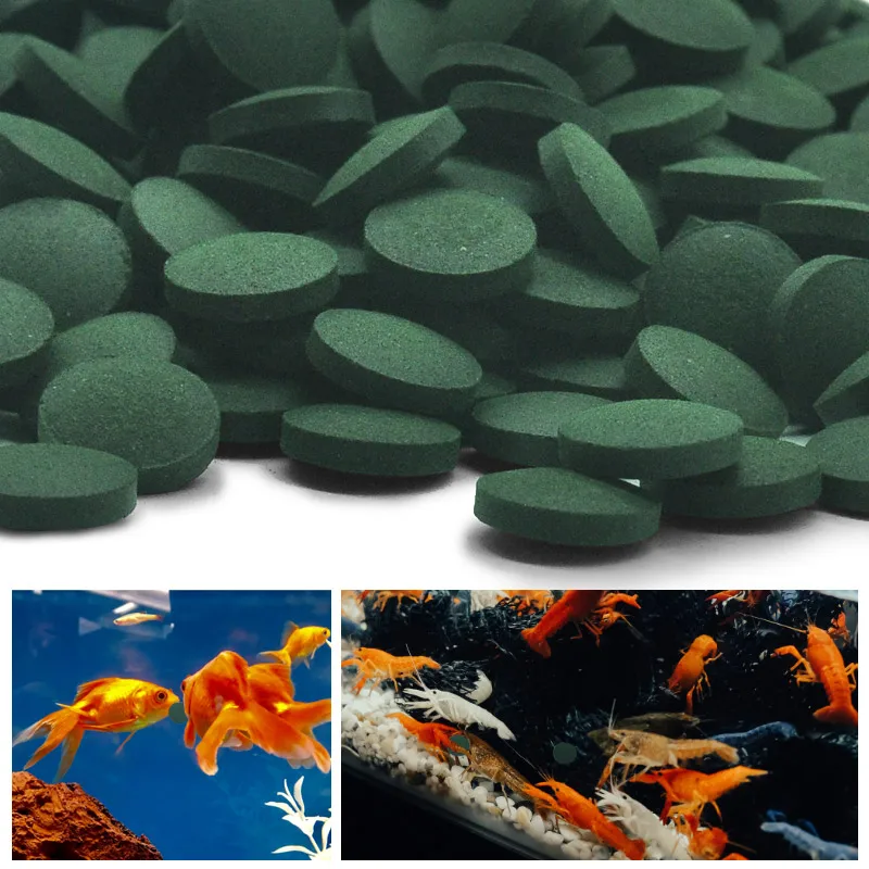 Aquarium Fish Vitamin - 100 Uds. Tabletas de espirulina de