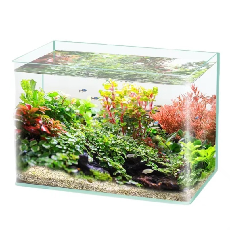 Box Fish In Aquarium - Caja de embalaje para acuario de