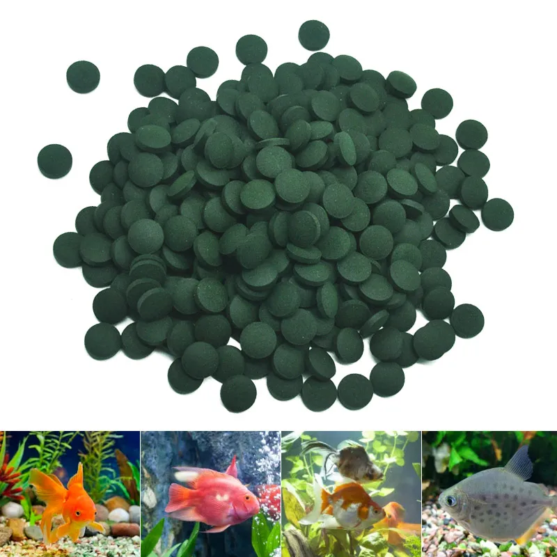 Aquarium Fish Vitamin - 100/500 Uds tabletas de espirulina enriquecimiento