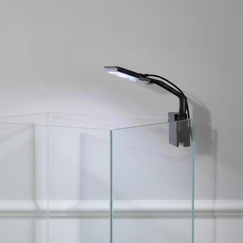 Aquarium Fish With Long Lifespan - Iluminación LED para Acuario, Ultrafina, Impermeable,