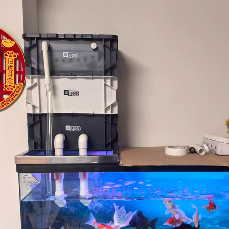 Box Fish In Aquarium - Filtros para pecera, caja de facturación