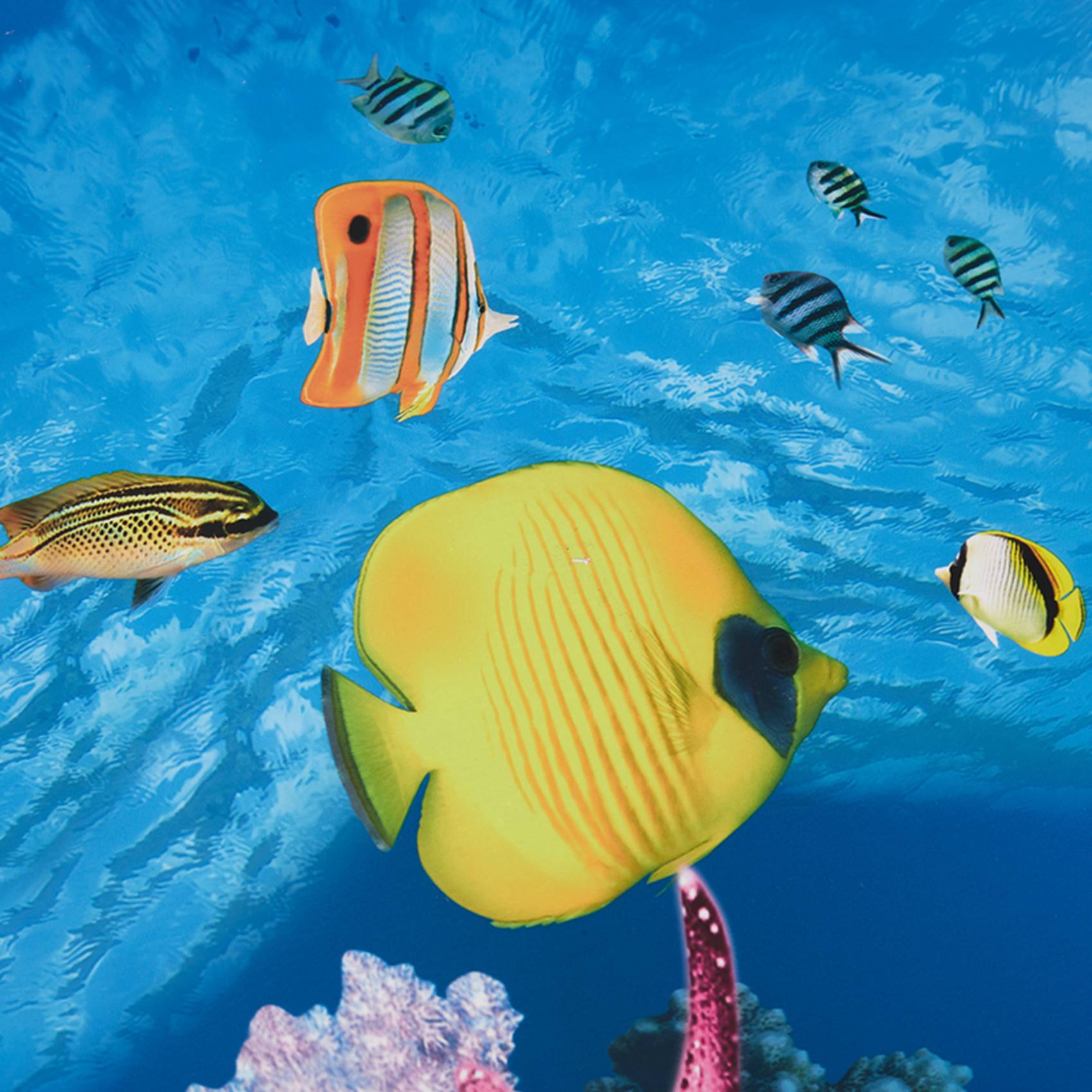 Fish In Aquarium Picture - BAAU-papel de fondo para acuario, imagen