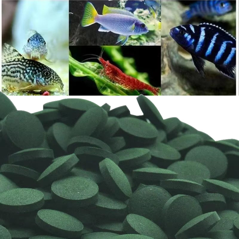 Aquarium Fish Vitamin - 50/100/300/500 Uds tabletas de espirulina concentrado