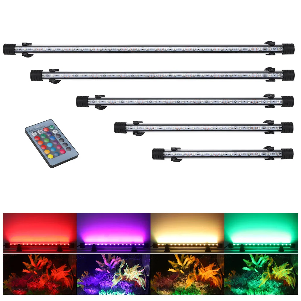 Fish In Aquarium Picture - Luces LED RGB impermeables para acuario,