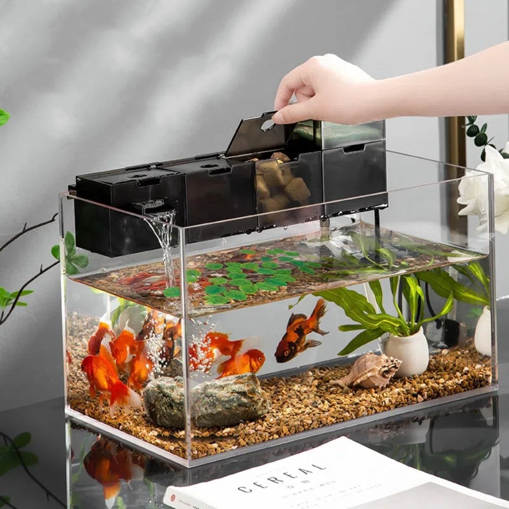 Box Fish In Aquarium - Filtro de Acuario Externo Tres en