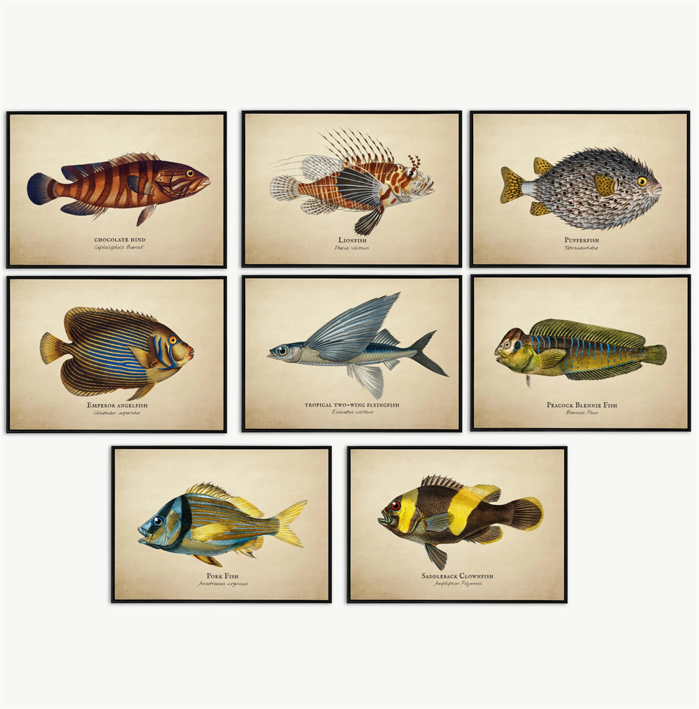 Fish In Aquarium Picture - Imágenes Vintage de peces tropicales, medusas,