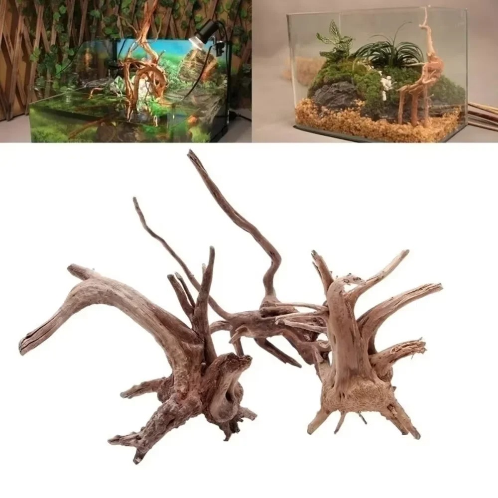 Aquarium Fish Types - (15-20cm) Decoración de Madera Natural para