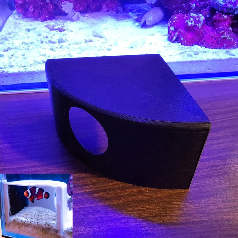 Aquarium Fish Game - Esquina creativa acuario cueva pecera escondite