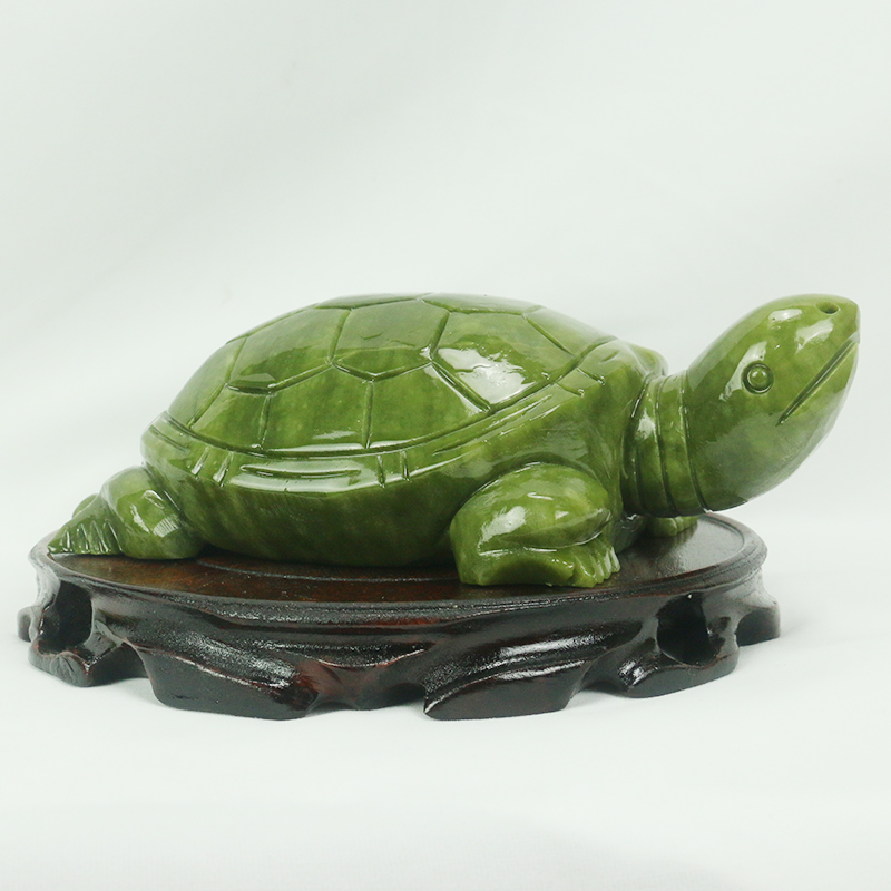Jade Natural/escultura de tort - Aquarium Fish Types reseña y precio