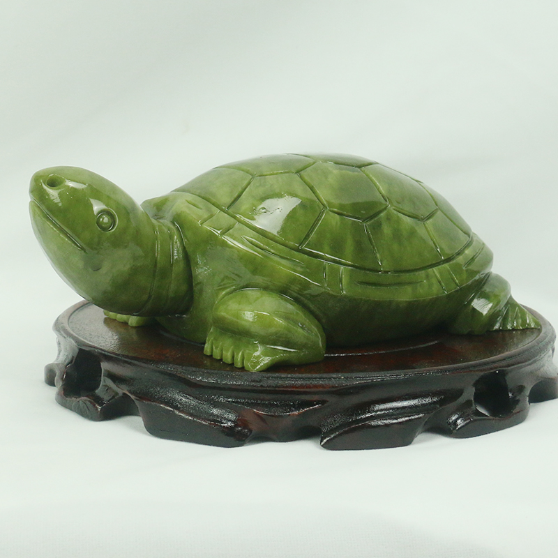 Jade Natural/escultura de tort - Aquarium Fish Types reseña y precio