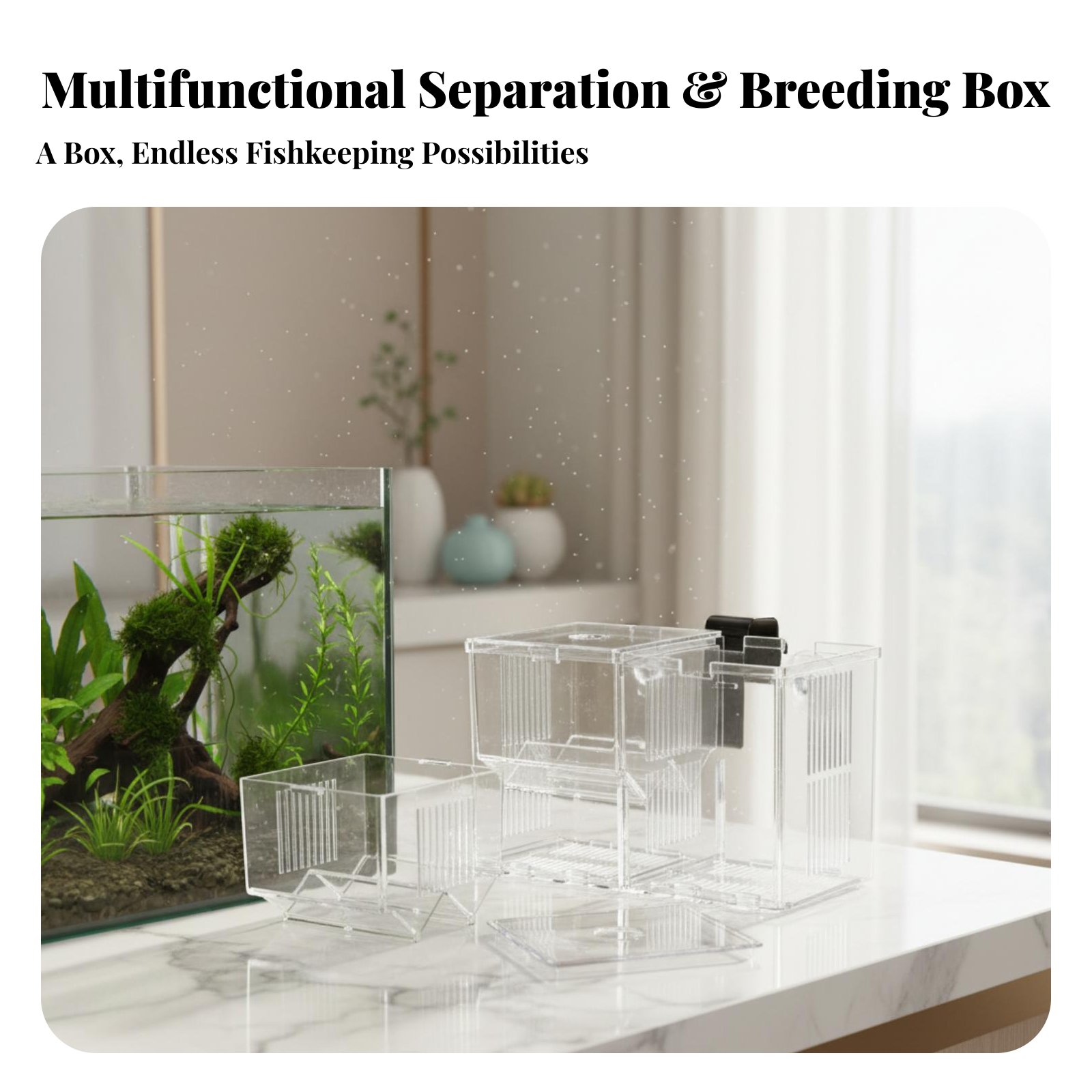 Caja de Cría para Hábitat Acuá - Box Fish In Aquarium reseña y precio