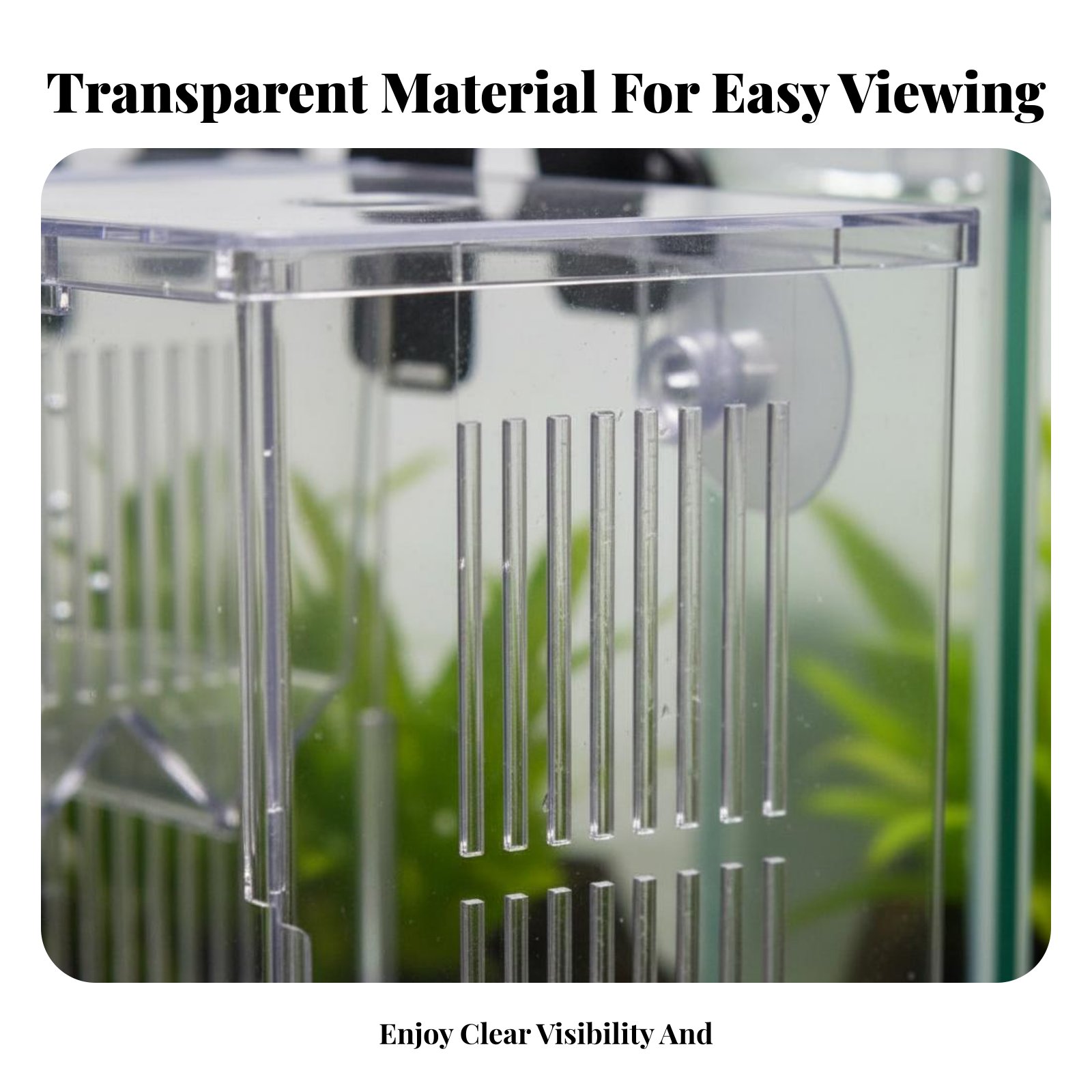 Caja de Cría para Hábitat Acuá - Box Fish In Aquarium reseña y precio