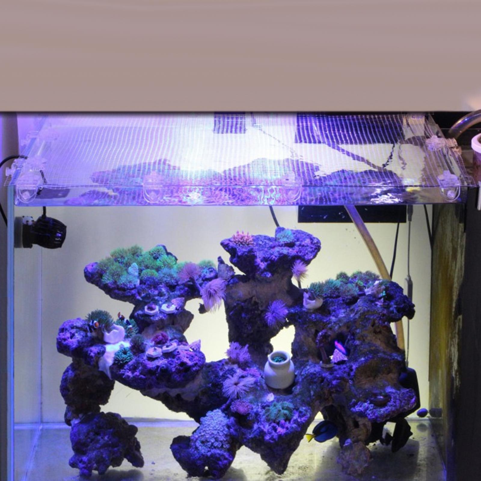 Malla Transparente de Acrílico - Aquarium Fish Jump Guard reseña y precio