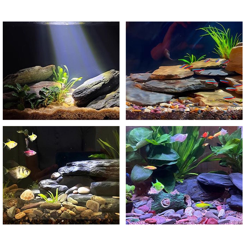 Kit de piedras para paisajismo - Aquarium Fish Types reseña y precio