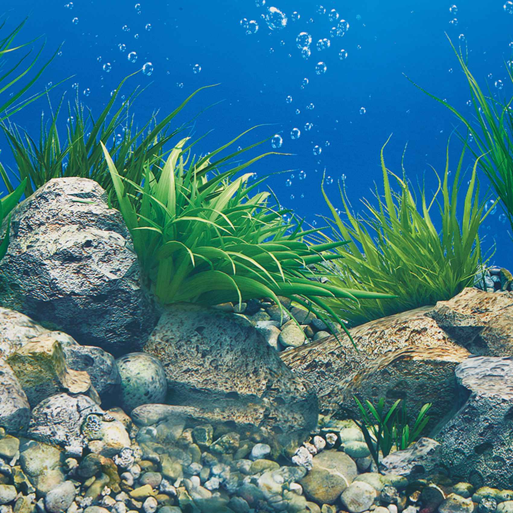 Papel de Fondo para Acuario AB - Fish In Aquarium Picture reseña y precio
