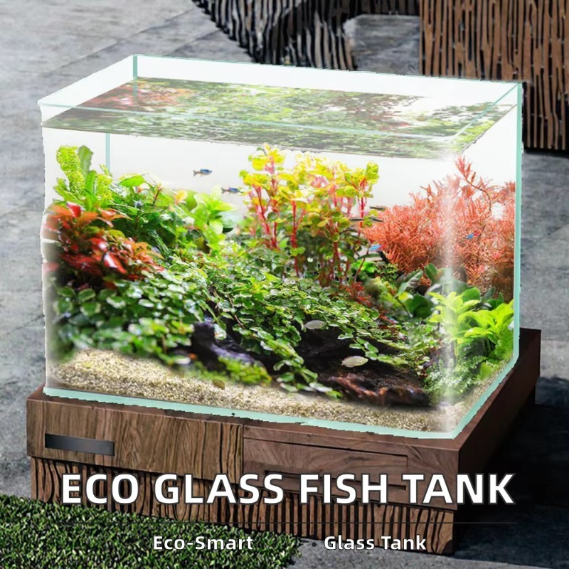 Caja de embalaje para acuario  - Box Fish In Aquarium reseña y precio
