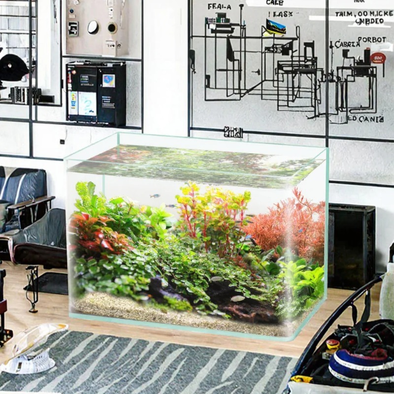 Caja de embalaje para acuario  - Box Fish In Aquarium reseña y precio
