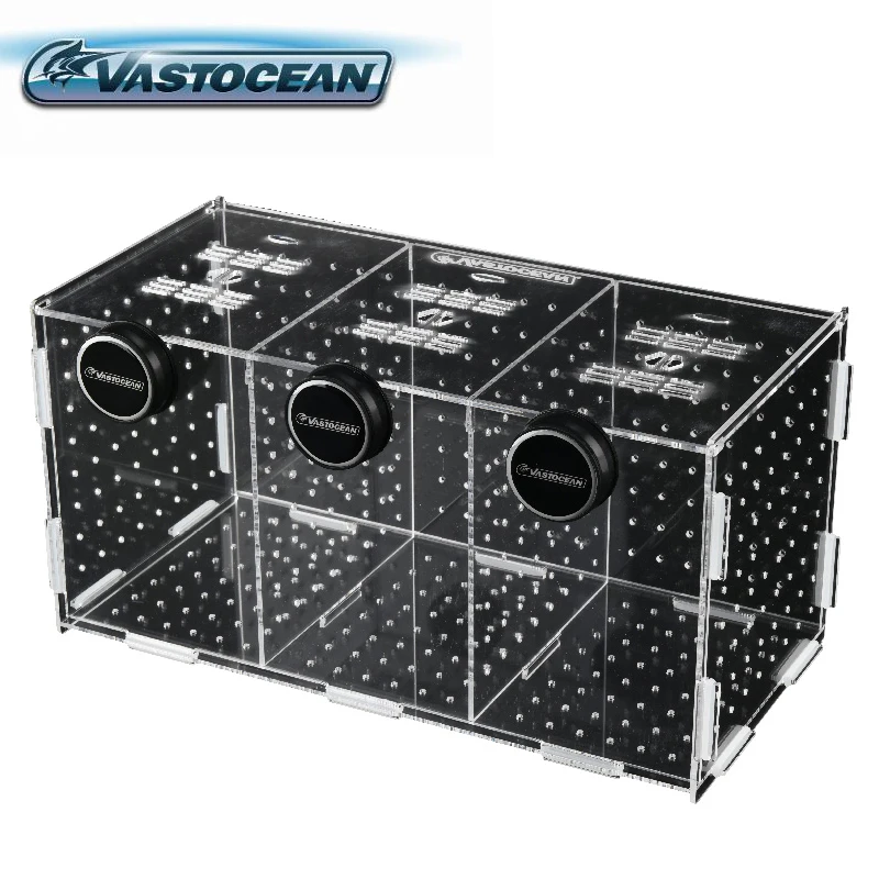 Vastapean-caja de aislamiento  - Box Fish In Aquarium reseña y precio