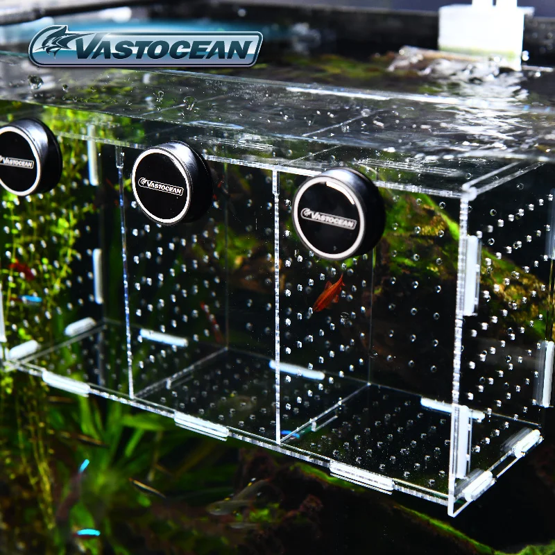 Vastapean-caja de aislamiento  - Box Fish In Aquarium reseña y precio