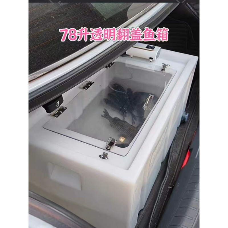 Caja para peces vivos montada  - Aquarium Fish Live reseña y precio