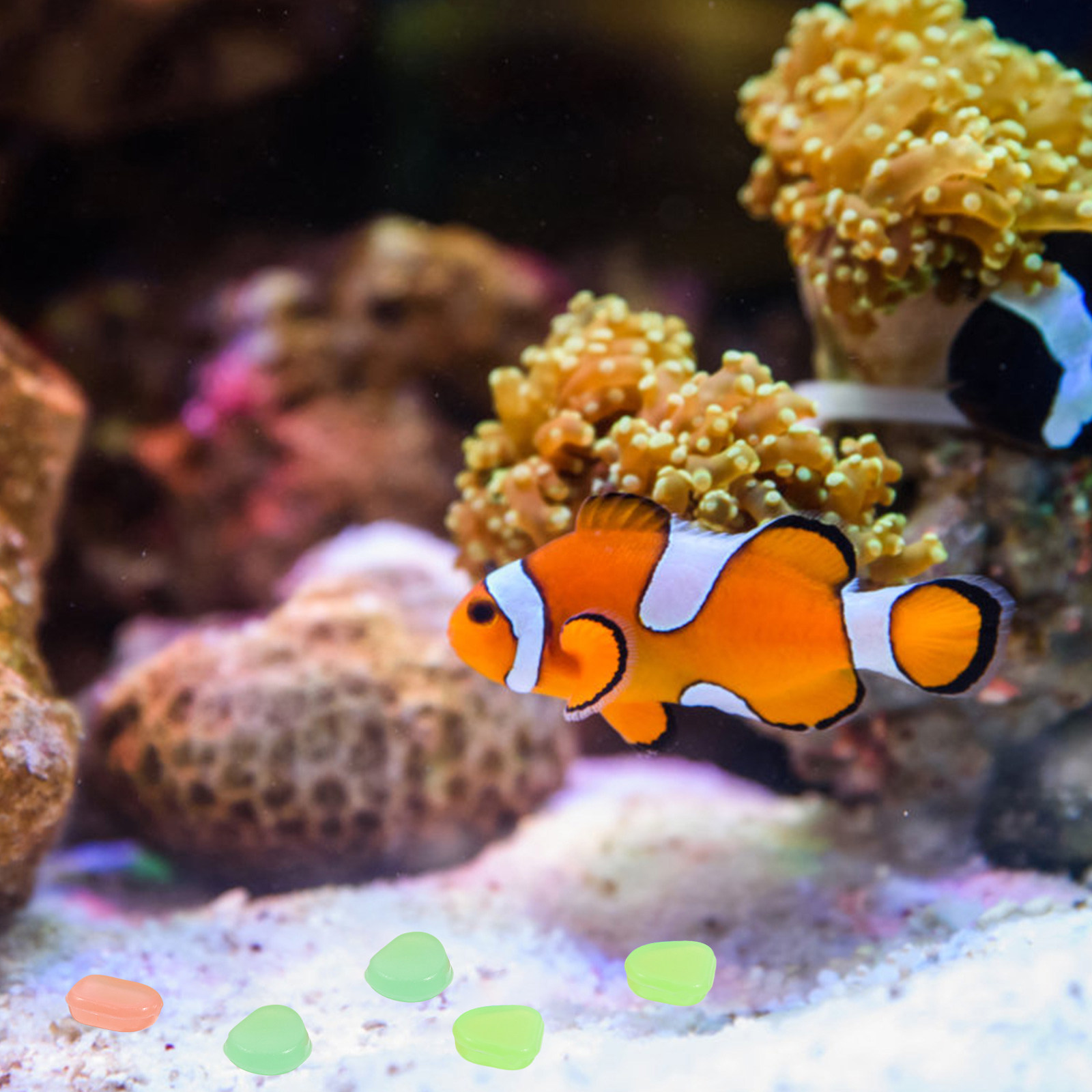 400 Piezas de Piedras Brillant - Aquarium Fish Glow In The Dark reseña y precio