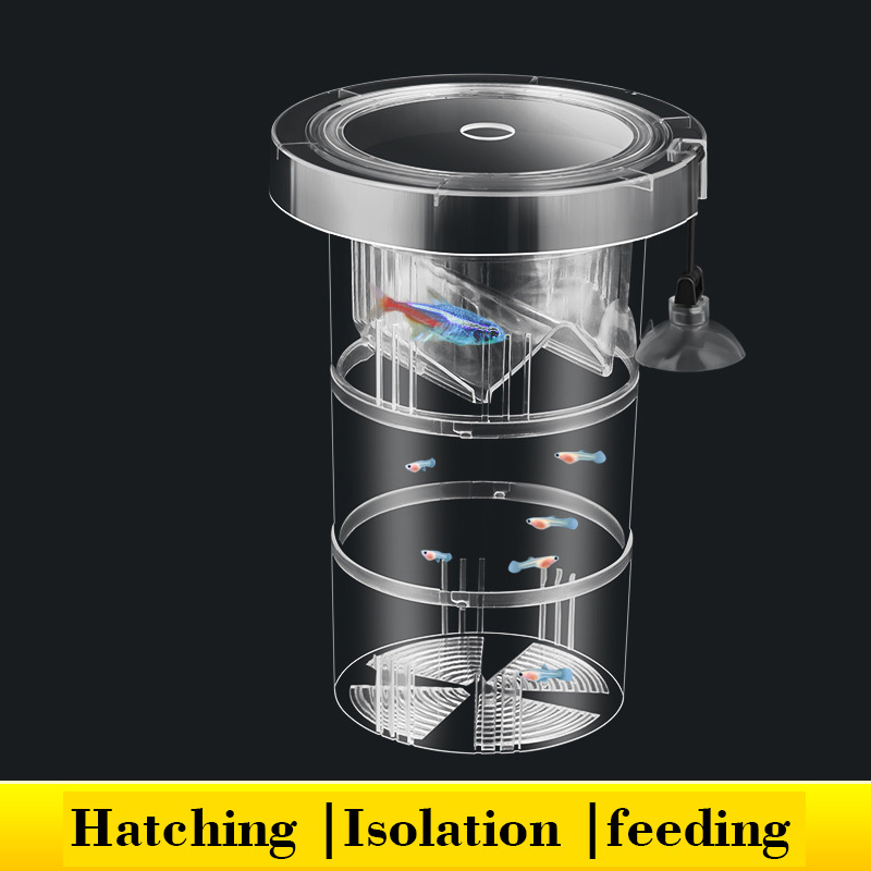 Caja de aislamiento flotante p - Box Fish In Aquarium reseña y precio