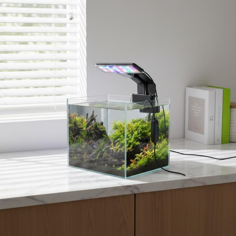 Iluminación LED para Acuario,  - Aquarium Fish With Long Lifespan reseña y precio