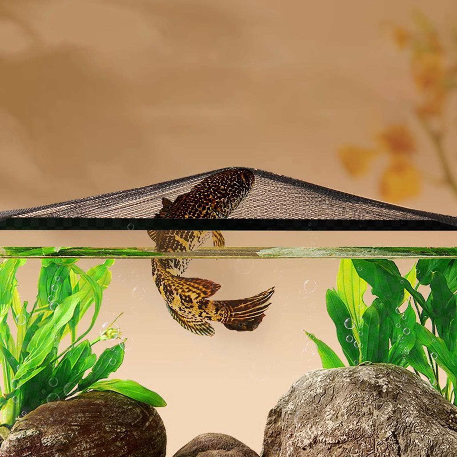 Cubierta superior de pantalla  - Aquarium Fish Jump Guard reseña y precio