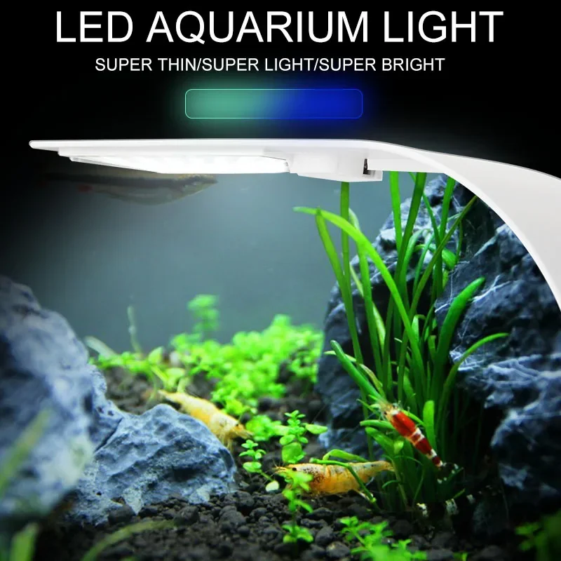 Luz LED Superfina para acuario - Fish In Aquarium Picture reseña y precio