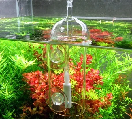 Dispositivo VIV Do, cilindro d - Aquarium Fish Store reseña y precio
