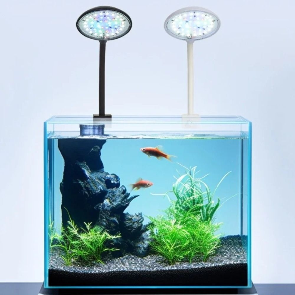 Lámpara de Clip para Pecera Mi - Aquarium Fish Live reseña y precio