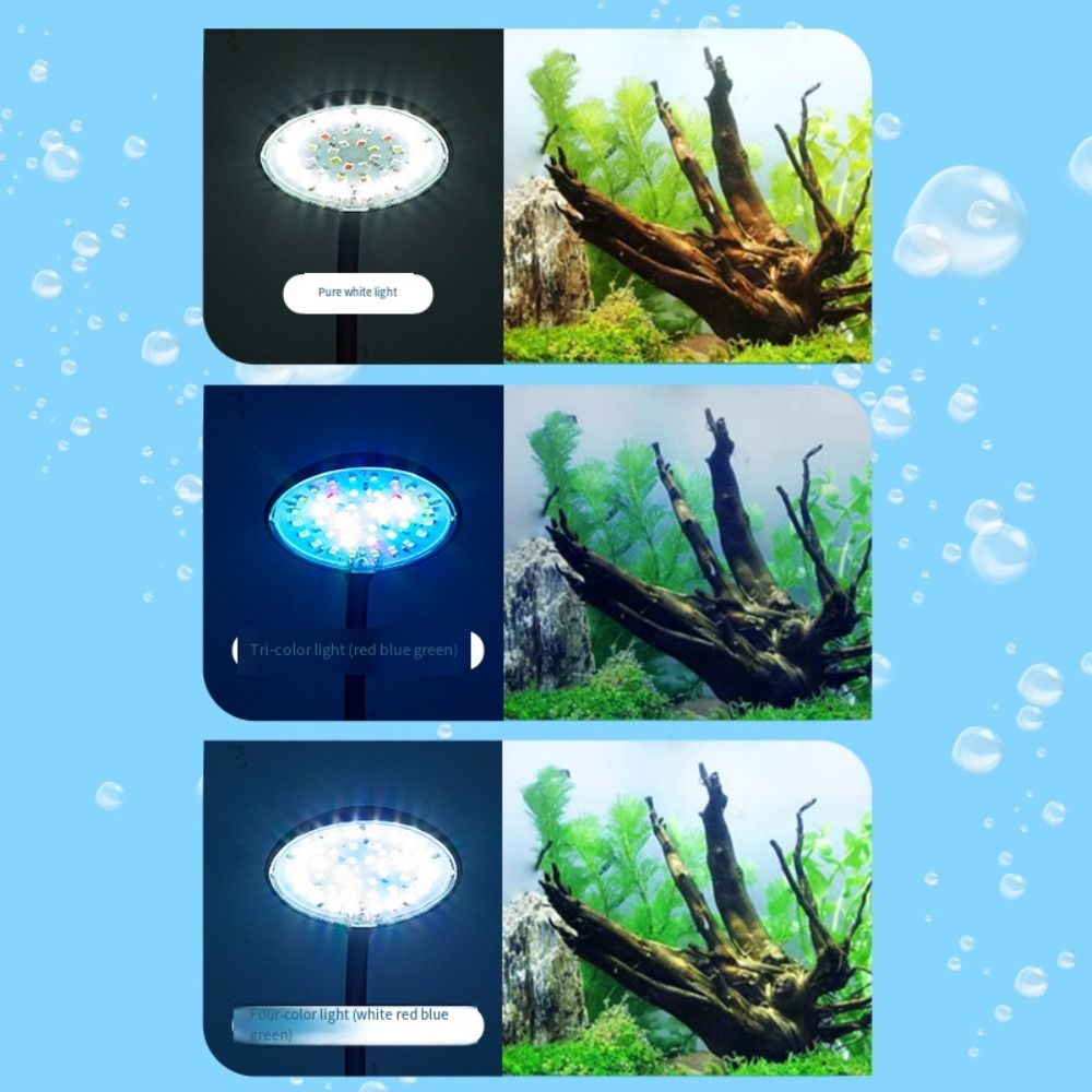 Lámpara de Clip para Pecera Mi - Aquarium Fish Live reseña y precio