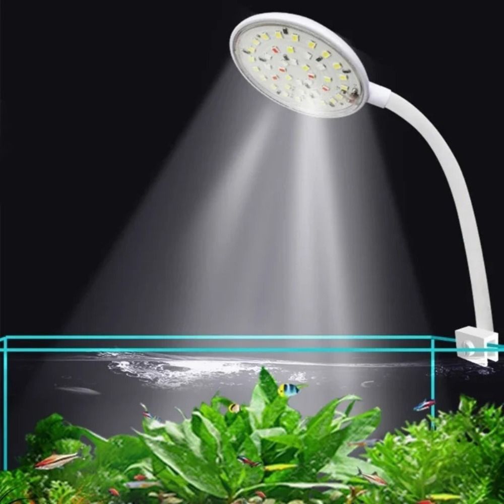 Lámpara de Clip para Pecera Mi - Aquarium Fish Live reseña y precio