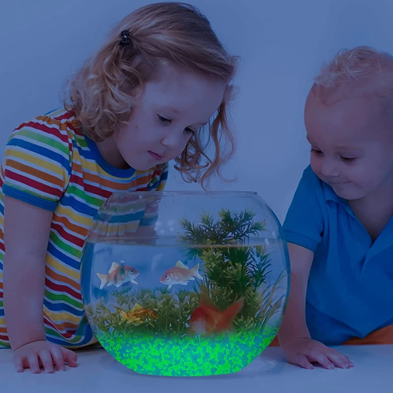 1000 Uds. De arena luminosa de - Aquarium Fish Types reseña y precio