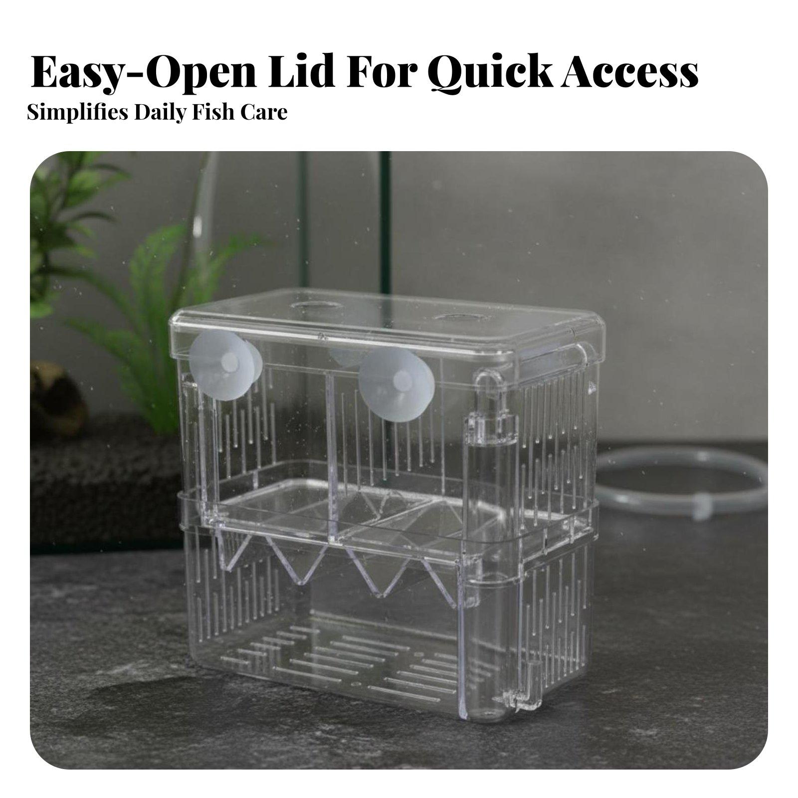 Tanque de Cría de Doble Capa p - Box Fish In Aquarium reseña y precio