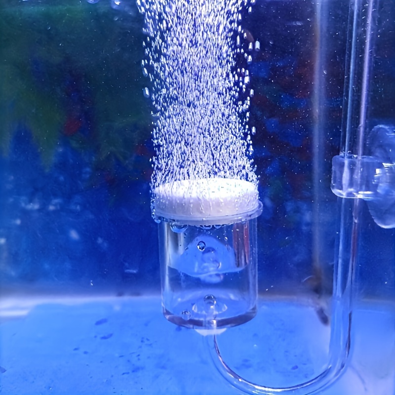 Difusor de atomizador de CO2 d - Aquarium Fish Photography reseña y precio