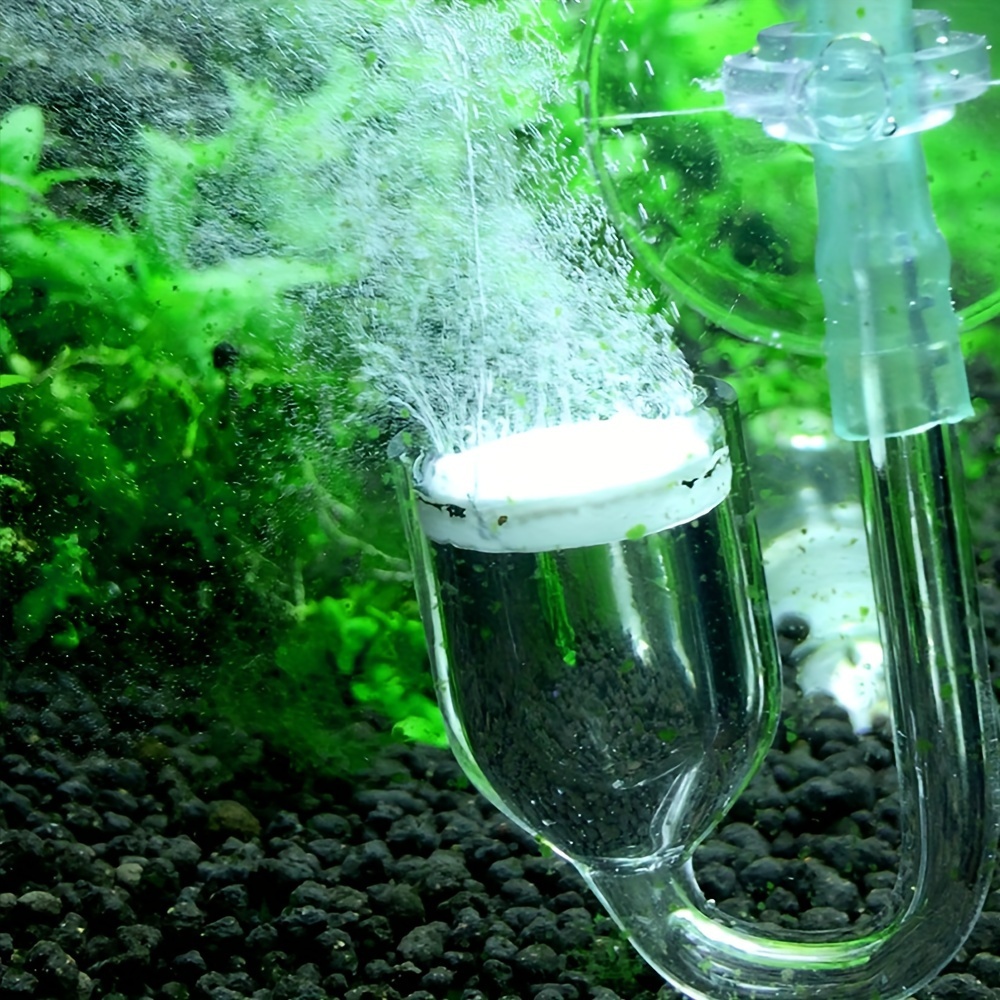Difusor de atomizador de CO2 d - Aquarium Fish Photography reseña y precio