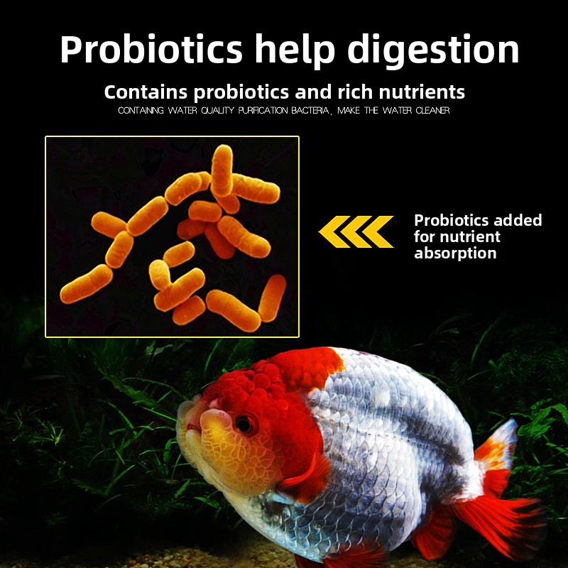 LONGNIAN Color Mejora de peces - Aquarium Fish Vitamin reseña y precio