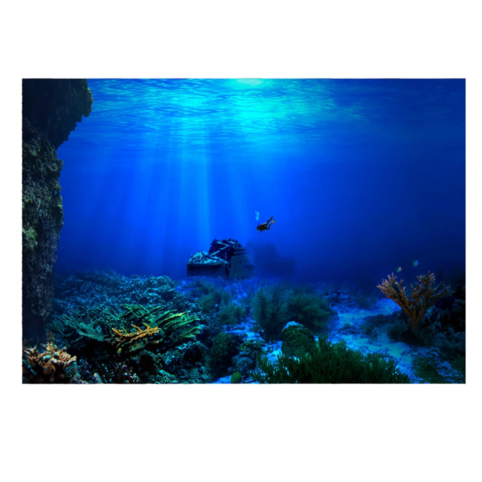 Fondo de acuario de selva trop - Fish In Aquarium Picture reseña y precio