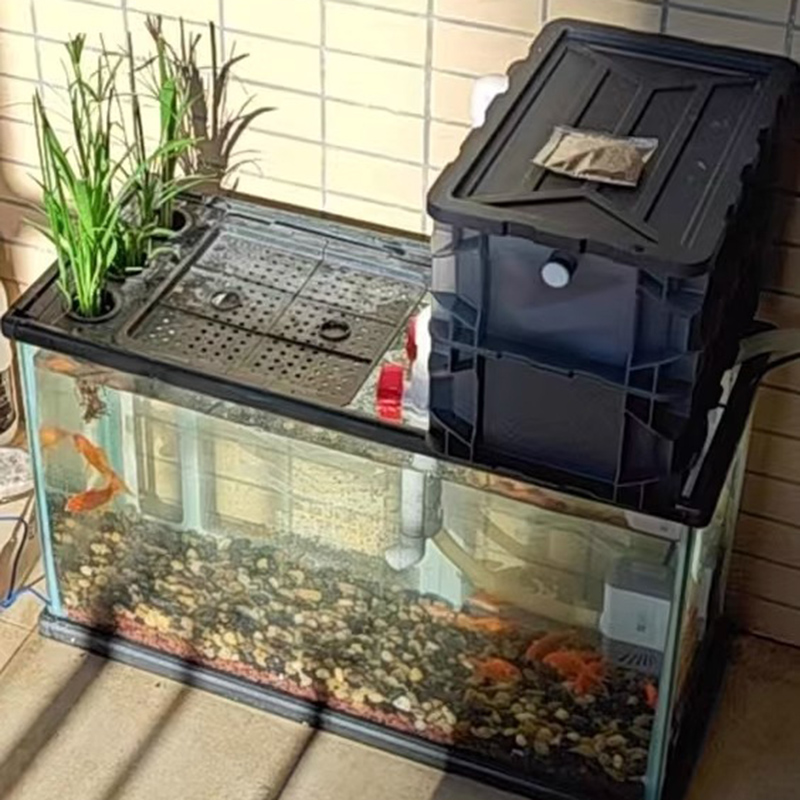 Filtros para pecera, caja de f - Box Fish In Aquarium reseña y precio