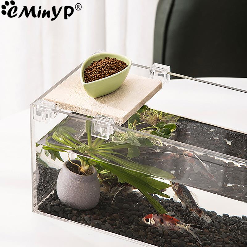 Clips acrílicos para pecera, 4 - Aquarium Fish Photography reseña y precio
