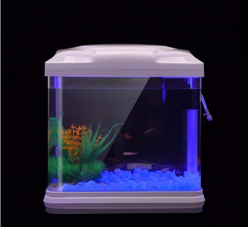 Rocas para pecera, guijarros a - Aquarium Fish Photography reseña y precio