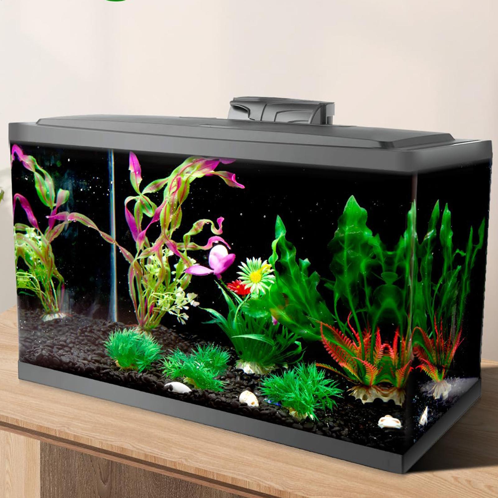 Fondo de Acuario Negro, Papel  - Fish In Aquarium Picture reseña y precio