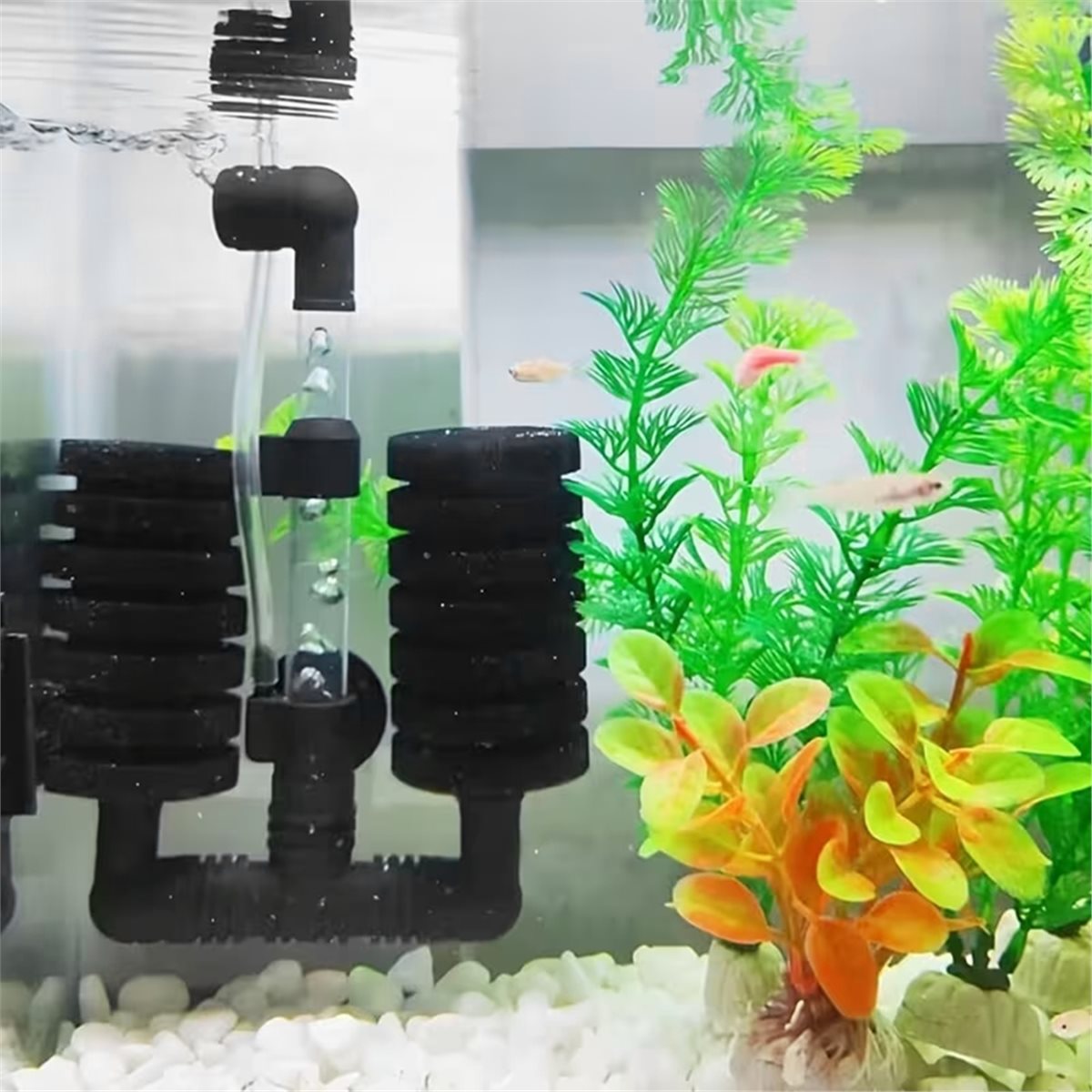 【LISTA DE PRODUCTOS IMPRESCIND - Aquarium Fish List reseña y precio