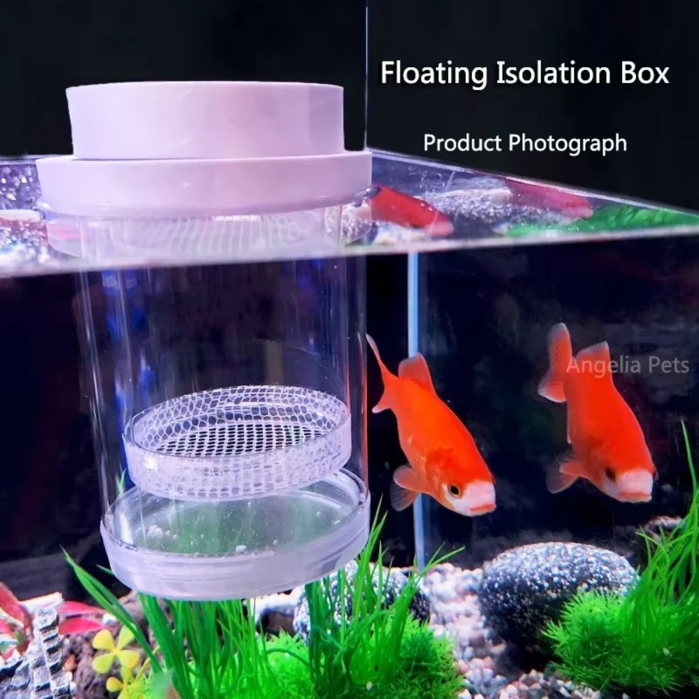 Caja de aislamiento flotante d - Box Fish In Aquarium reseña y precio