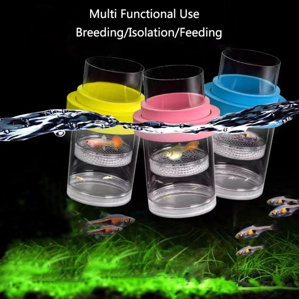 Caja de aislamiento flotante d - Box Fish In Aquarium reseña y precio
