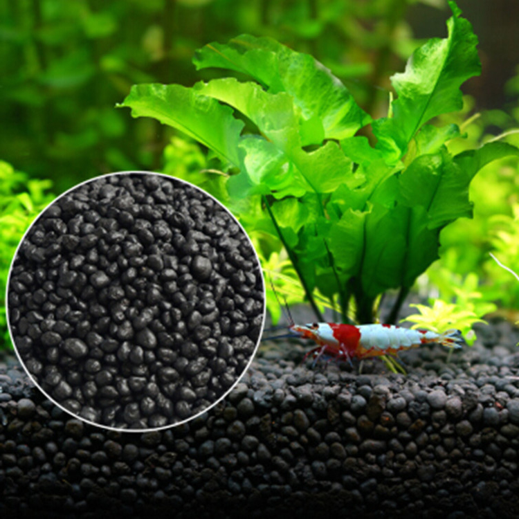 Semillas de plantas de Acuario - Aquarium Fish Photography reseña y precio