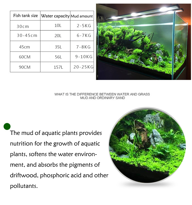 Semillas de plantas de Acuario - Aquarium Fish Photography reseña y precio