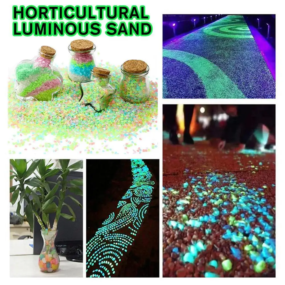 2000 piezas de guijarros lumin - Aquarium Fish Glow In The Dark reseña y precio
