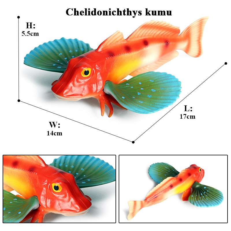 Oenux, modelo de animales de l - Fish In Aquarium Picture reseña y precio